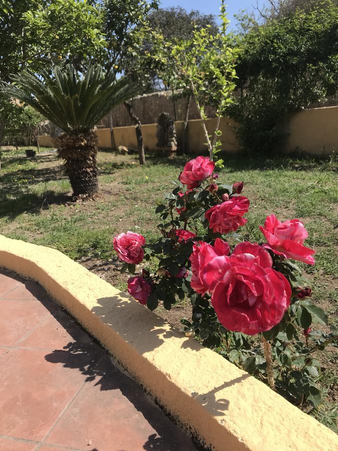 تروبيا Villa Saturno المظهر الخارجي الصورة